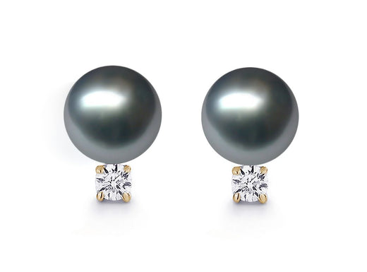 10-11mm AAA Quality Gray Tahitian Pearl Earrings 14K Yellow Gold and Diamonds