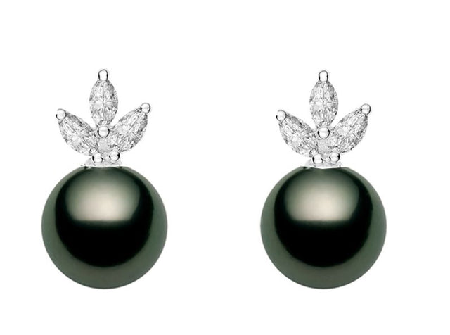 10-13mm AA+ Quality Black Tahitian Pearl Earrings 14K White Gold and White Sapphires