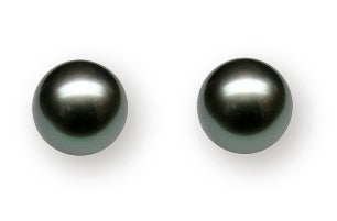 8-8.5MM AAA Quality Black Tahitian Pearl Stud Earrings 14K Gold