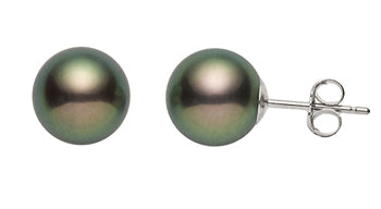 9-9.5mm Black AAA Quality Freshwater Pearl Earrings
