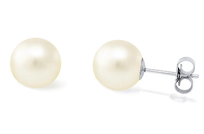 Cream AAA Quality Freshwater Pearl Earrings