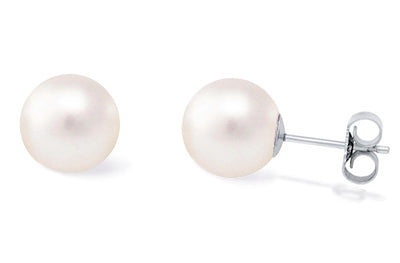 White AAA Quality Freshwater Pearl Earrings 8.5-9mm