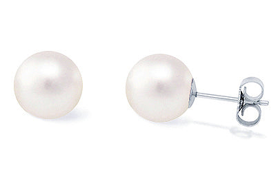 White Freshwater Pearl Earrings 11-12mm AA+ Quality
